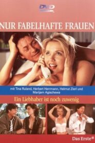 One Lover is not enough 2002 on netflix
