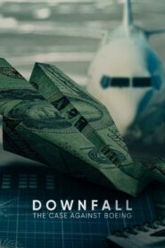 Downfall: The Case Against Boeing 2022 on netflix