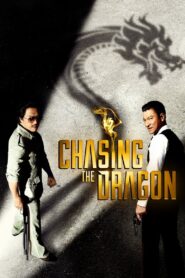 Chasing the Dragon 2017 on netflix