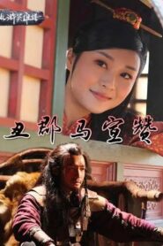 丑郡马宣赞 2015 on netflix
