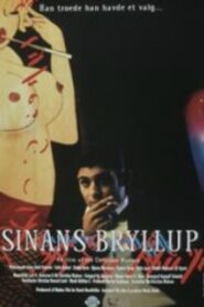 Sinan’s Wedding 1997 on netflix