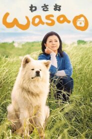 Wasao 2011 on netflix