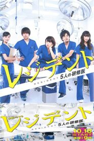 Resident: Story of 5 Interns 2012 on netflix