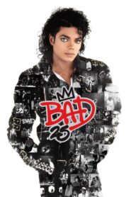 Bad 25 2012 on netflix