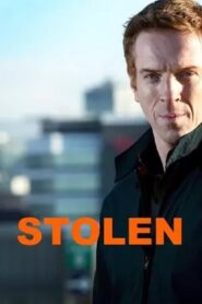 Stolen 2011 on netflix