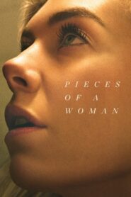 Pieces of a Woman 2020 on netflix