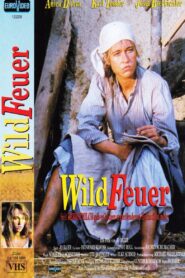 Wildfeuer 1991 on netflix