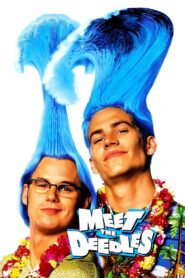 Meet the Deedles 1998 on netflix