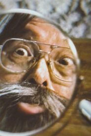 Dissimulation 1992 on netflix