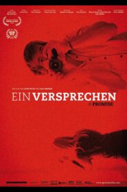 Ein Versprechen 2012 on netflix