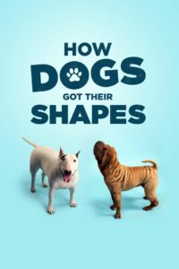 How Dogs Got Their Shapes 2016 on netflix