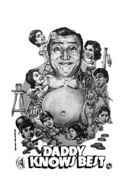 Daddy Knows Best 1983 on netflix