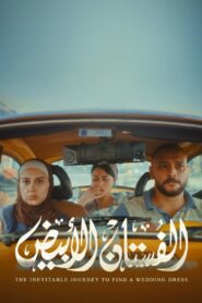 The Inevitable Journey to Find a Wedding Dress 2024 on netflix