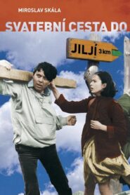 Bridal Tour to Jilji 1984 on netflix