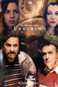 Labyrinth 2002 on netflix