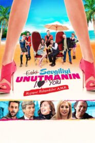 Eski Sevgiliyi Unutmanın 10 Yolu 2015 on netflix
