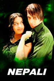Nepali 2008 on netflix