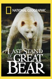 Last Stand of the Great Bear 2004 on netflix