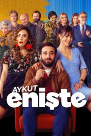 Brother in Love 2019 on netflix