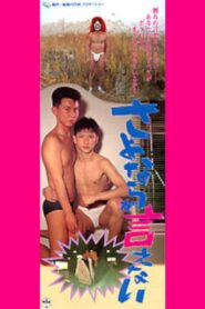 I Can’t Say Goodbye 1992 on netflix