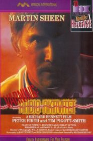 A State of Emergency 1986 on netflix