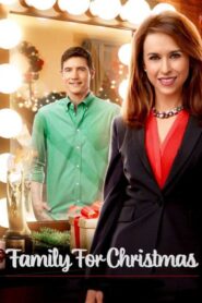 Family for Christmas 2015 on netflix