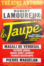 La Taupe 1989 on netflix