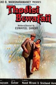 Thodisi Bewafaii 1980 on netflix