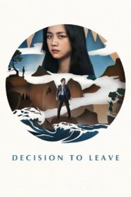 Decision to Leave 2022 on netflix