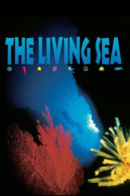 The Living Sea 1995 on netflix