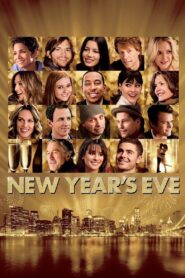 New Year’s Eve 2011 on netflix