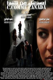 Friends from Canada 2004 on netflix