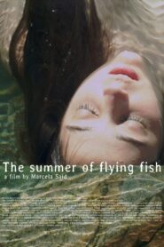 The Summer of Flying Fish 2013 on netflix