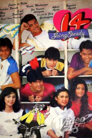 14 Going Steady 1984 on netflix