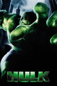Hulk 2003 on netflix
