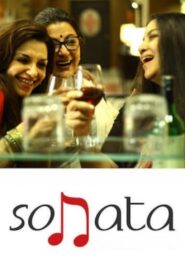 Sonata 2017 on netflix