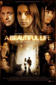A Beautiful Life 2009 on netflix