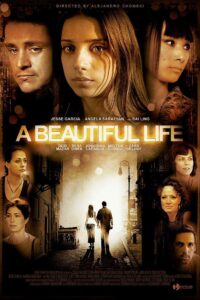 A Beautiful Life 2009 on netflix