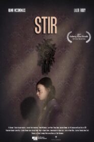 Stir 2020 on netflix