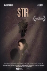 Stir 2020 on netflix