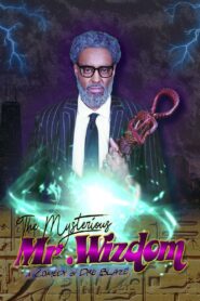 The Mysterious Mr. Wizdom 2020 on netflix