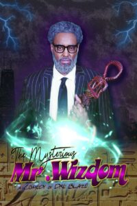 The Mysterious Mr. Wizdom 2020 on netflix