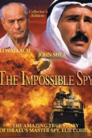 The Impossible Spy 1987 on netflix