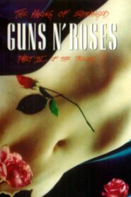 Guns N’ Roses: Estranged – Part IV of the Trilogy!!! 1994 on netflix