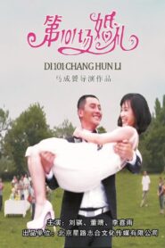 101st Weddings 2012 on netflix