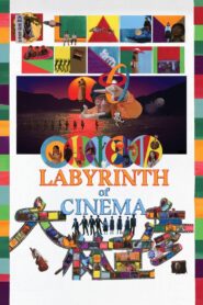 Labyrinth of Cinema 2020 on netflix