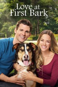 Love at First Bark 2017 on netflix