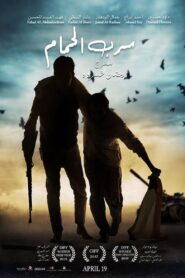 Swarm of Doves 2017 on netflix