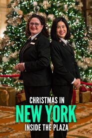 Christmas in New York: Inside the Plaza 2020 on netflix