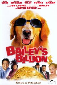 Bailey’s Billion$ 2005 on netflix